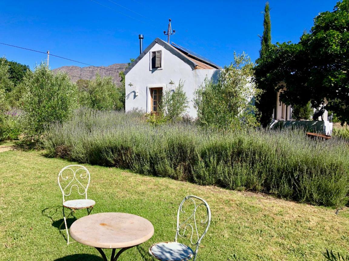 Designer Farm Cottage On Farm Franschhoek Dış mekan fotoğraf