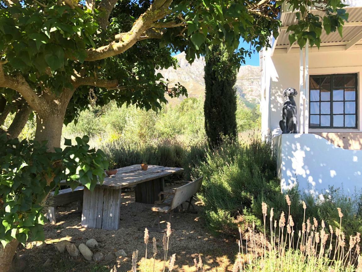 Designer Farm Cottage On Farm Franschhoek Dış mekan fotoğraf