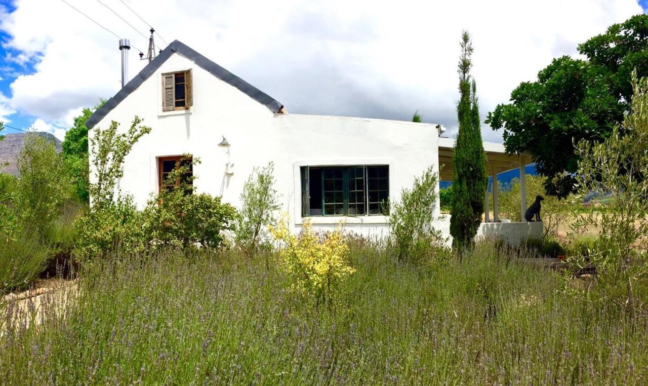 Designer Farm Cottage On Farm Franschhoek Dış mekan fotoğraf